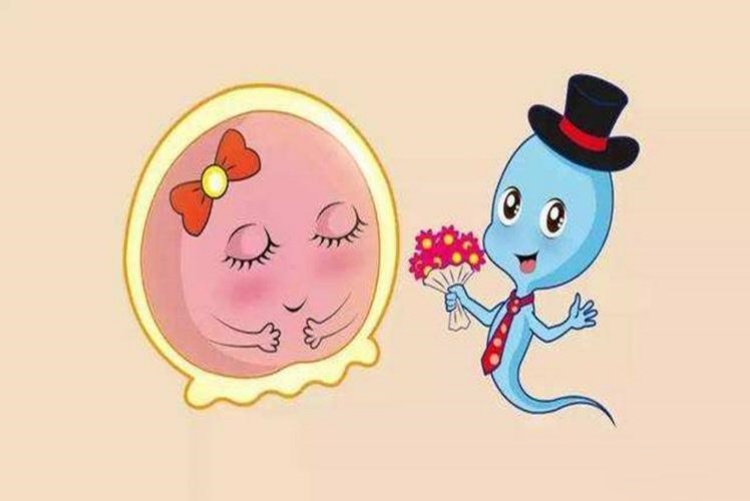 做试管助孕容易成功的人,自带这五大“好孕”特质~