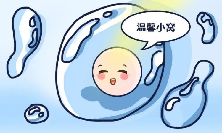 多次流产找不到原因?警惕!可能是抗磷脂综合征!
